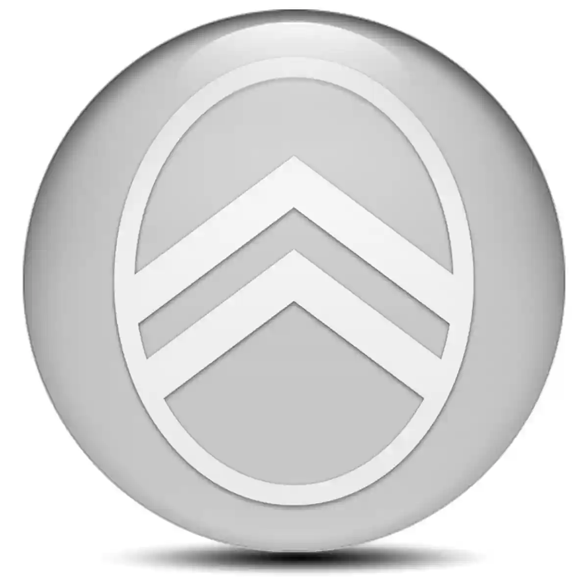 Citroen Silicone Sticker Premium Edition