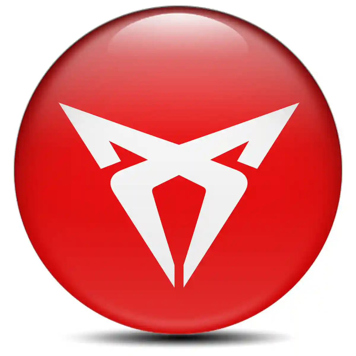 Cupra Epoxy Sticker Premium Edition
