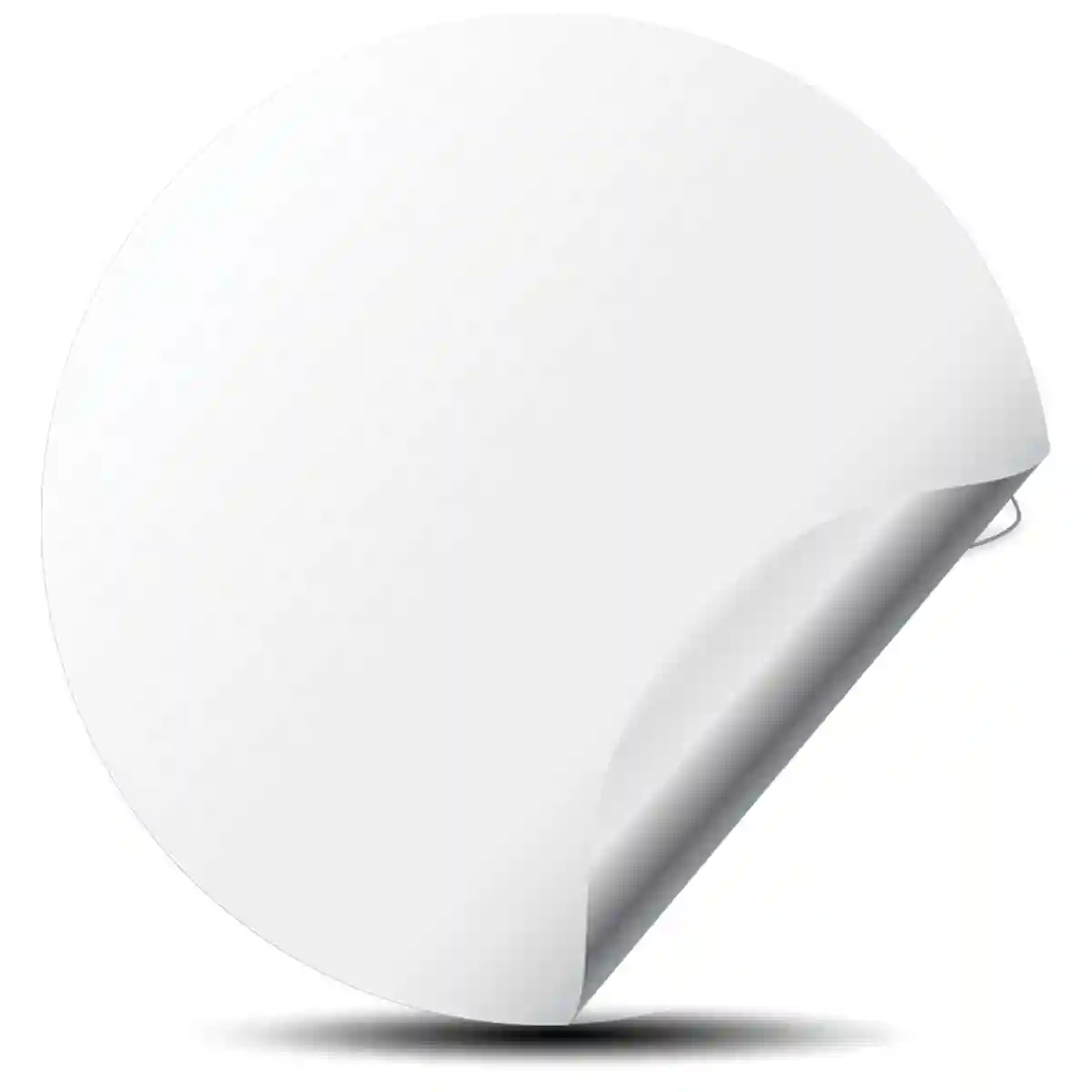 Dodge Charger Domed Emblem Stylish Design
