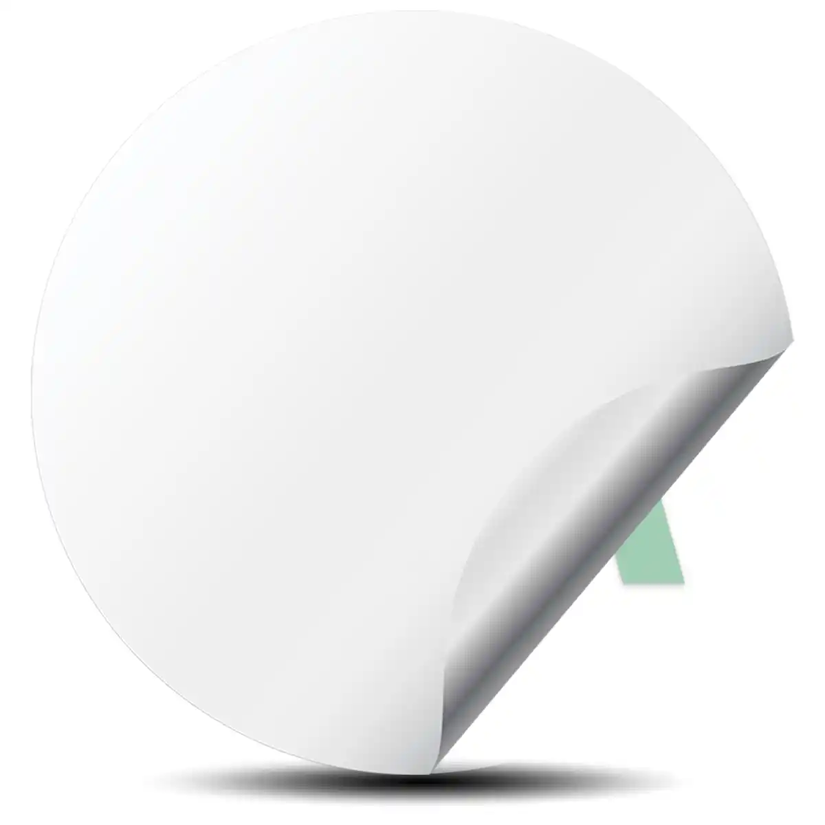 Fiat Domed Sticker Limited Edition