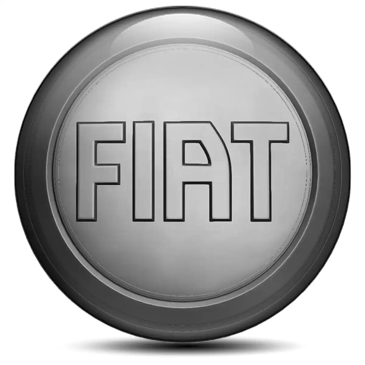 Fiat Emblem Center Hup Cap Interior Design
