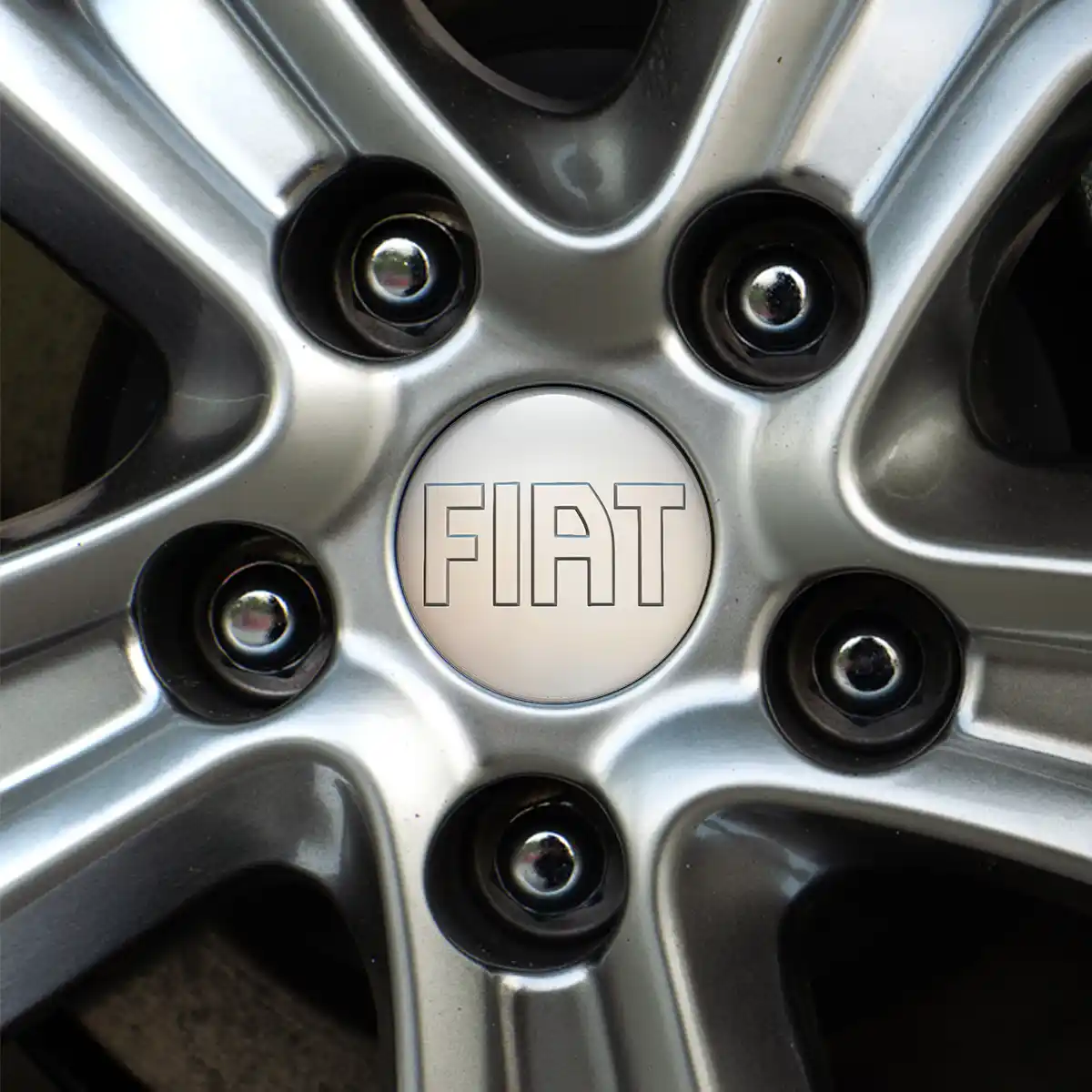 Fiat Silicone Emblem High Quality