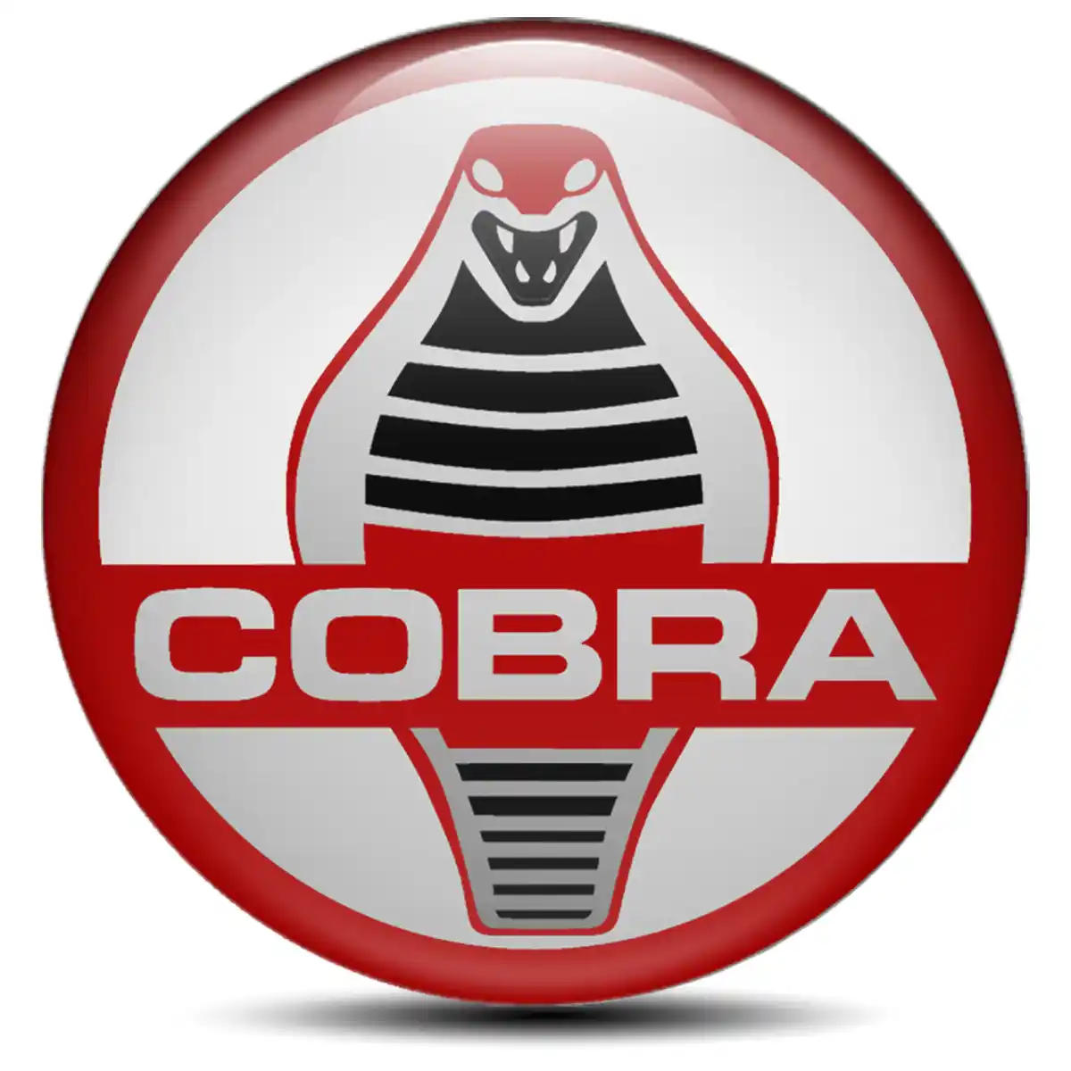 Ford Cobra Sticker Epoxy 3D Gel Stylish Design