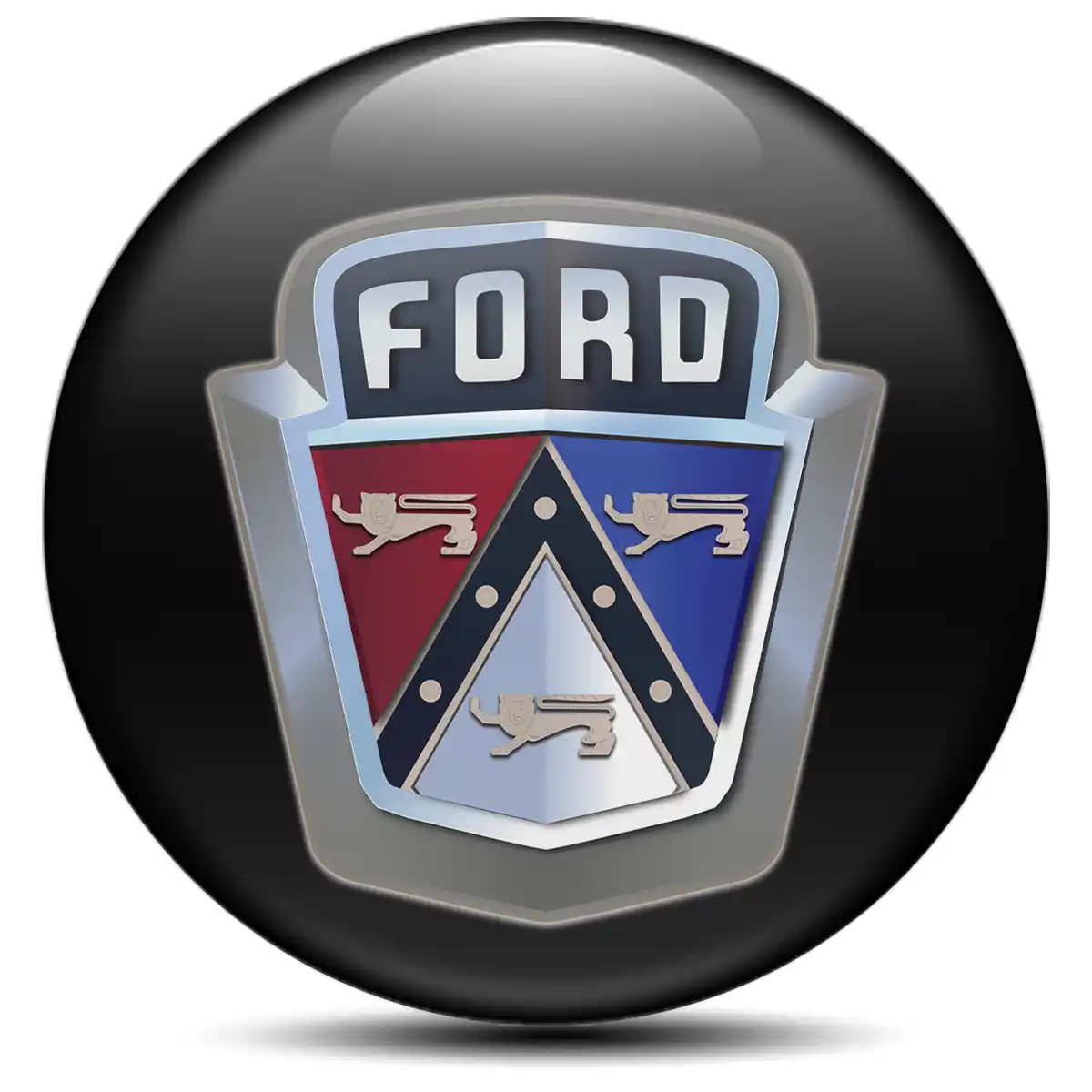 Ford Logo Silicone Emblem Stylish Design