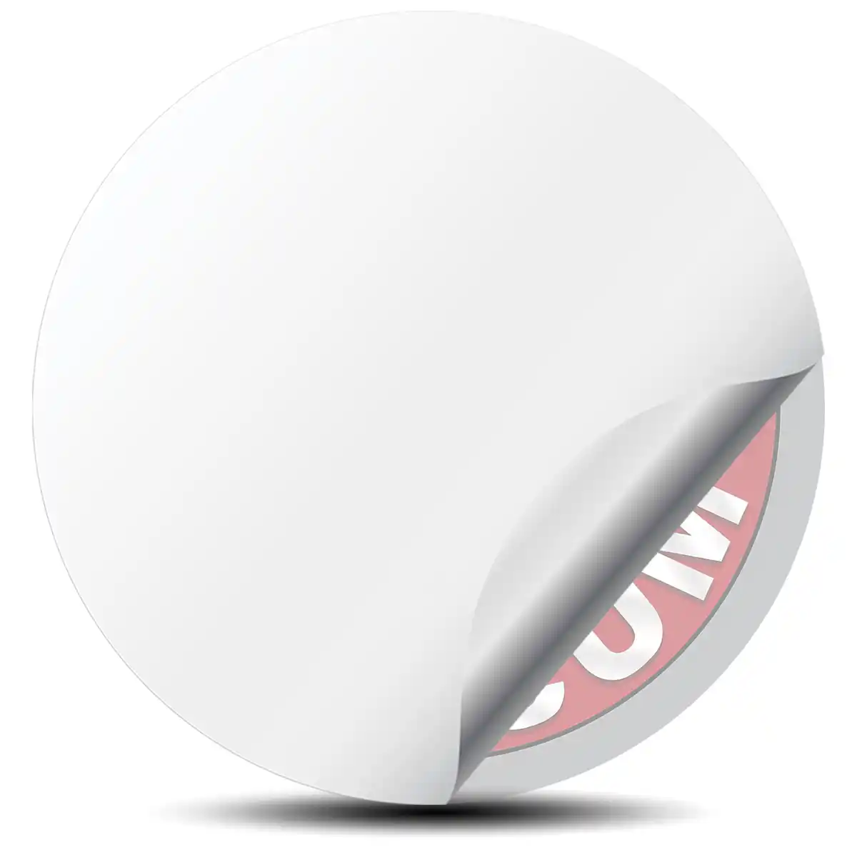 Ford Mustang Silicone Sticker Premium Edition