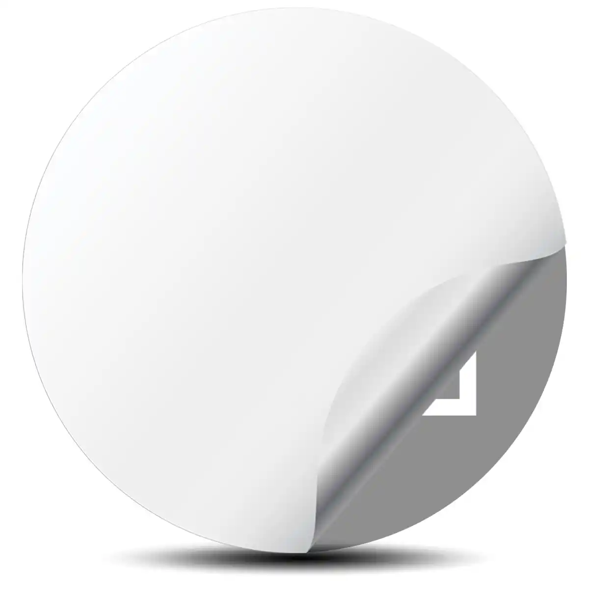 Ford RS Domed Sticker Stylish Design