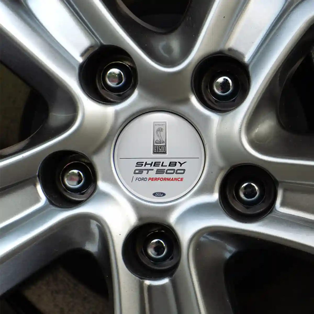 Ford Shelby Logo Silicone Badge Lux Pro Edition