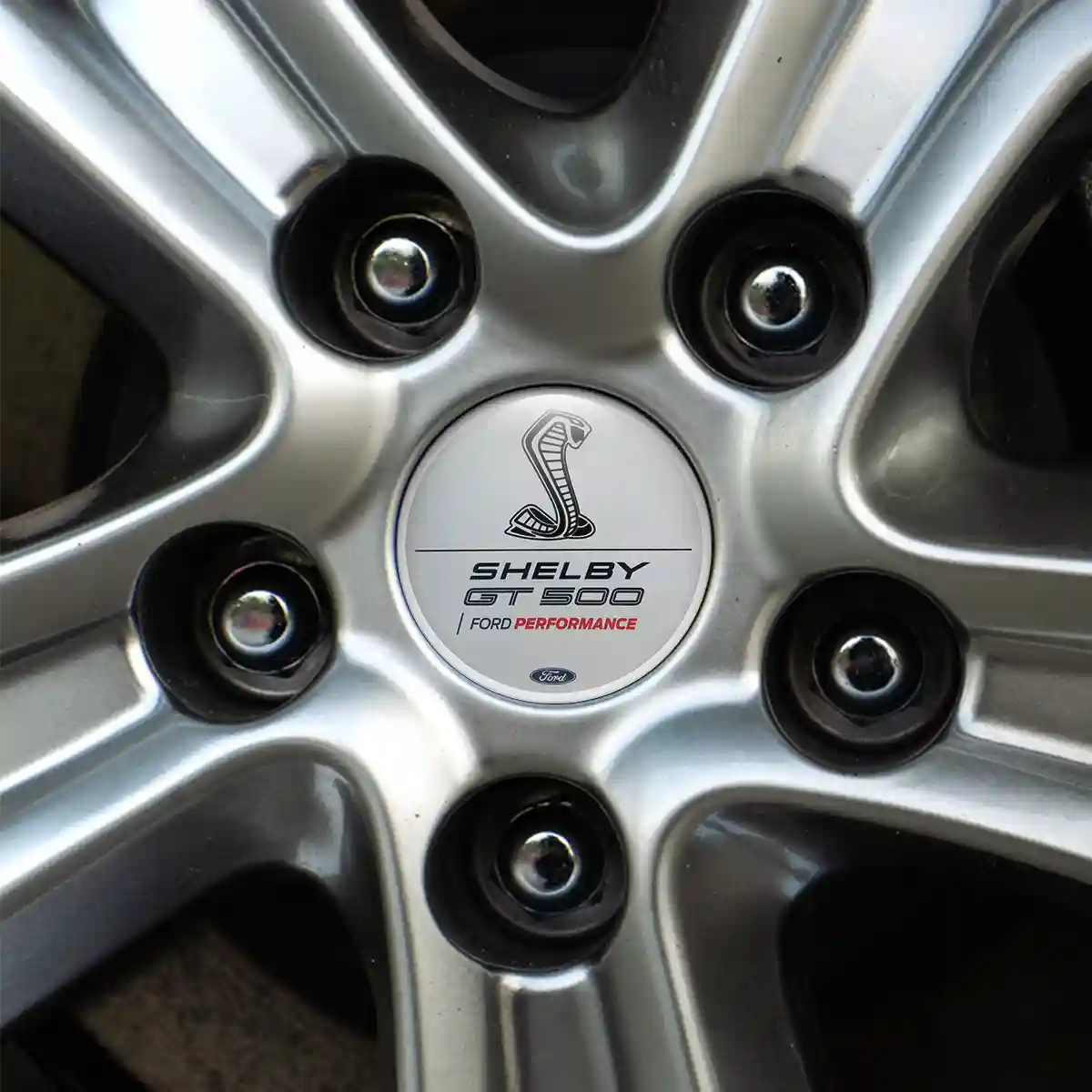 Ford Shelby Silicone Emblem Lux Pro Edition