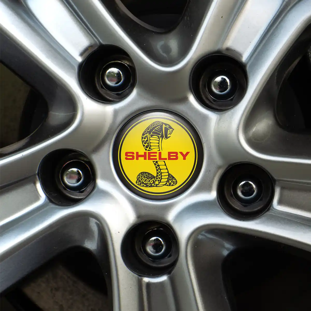 Ford Shelby Silicone Emblem Stylish Design