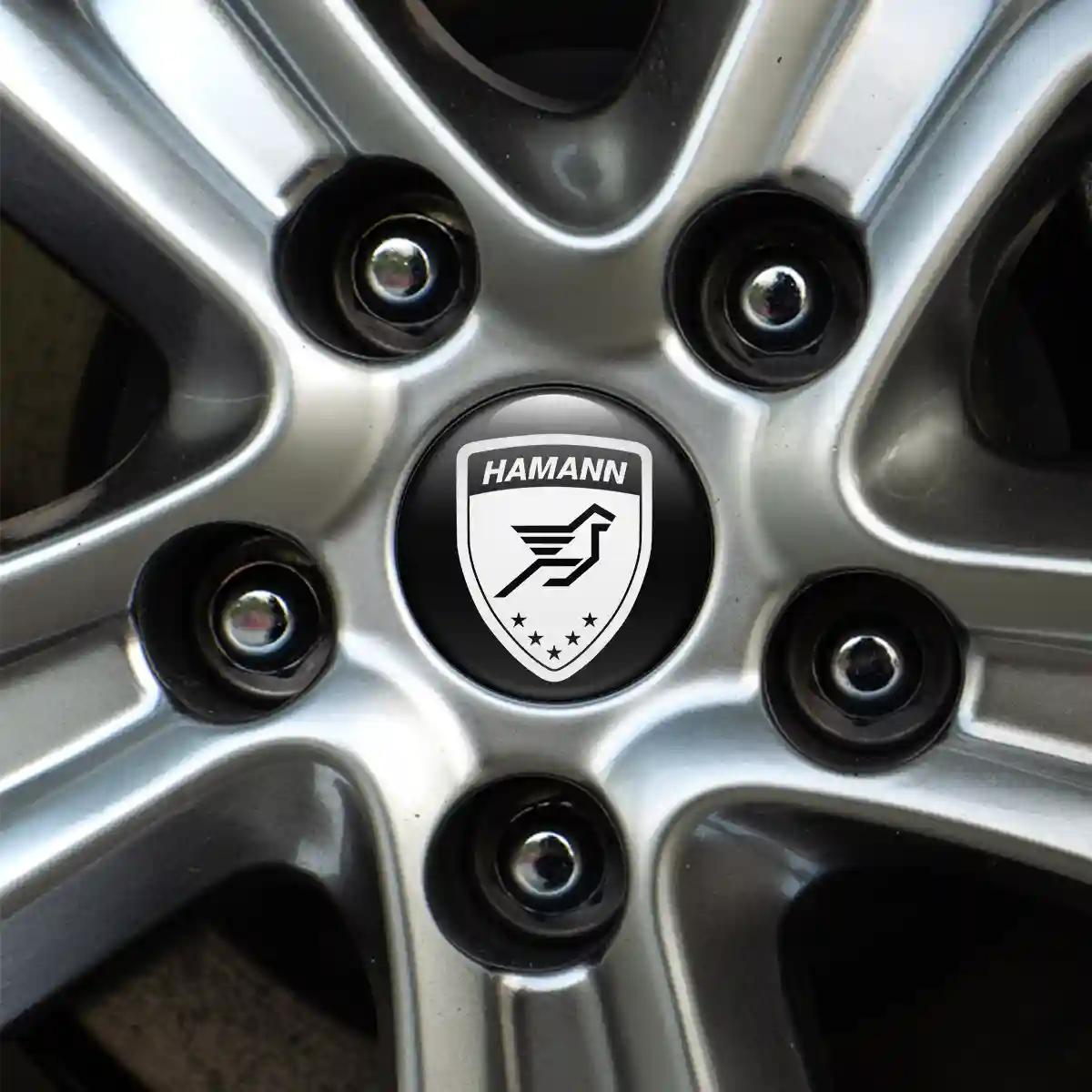 Hamann Logo Emblem Stylish Design