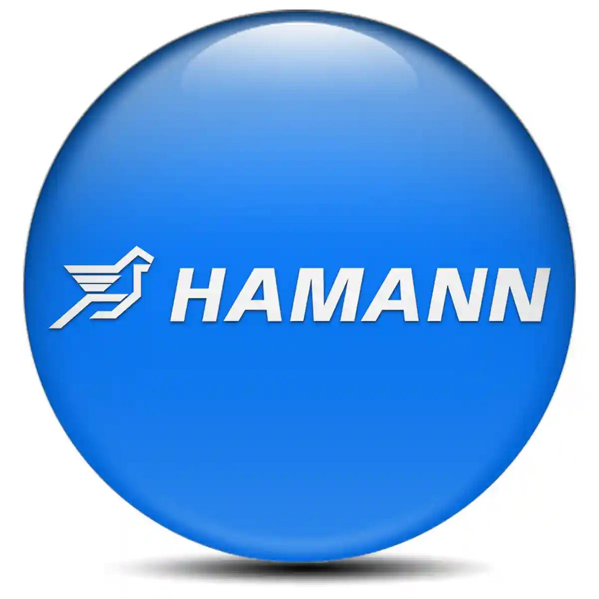 Hamann Silicone Emblem Premium Edition