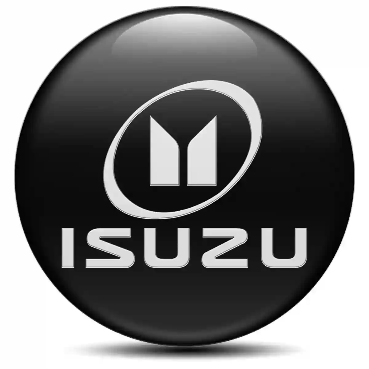 Isuzu Domed Emblem Sleek Style