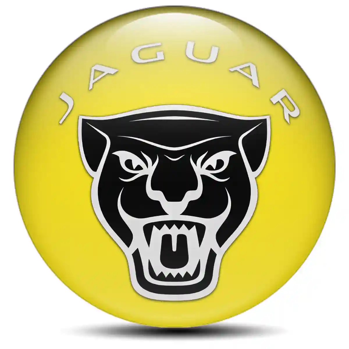 Jaguar Badge Emblems Center Cap High Quality