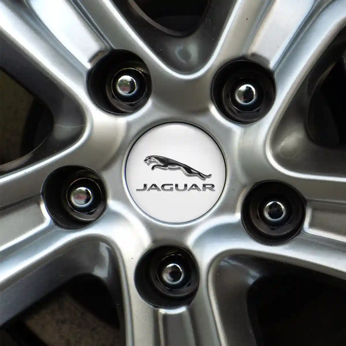 Jaguar Domed Emblem Limited Edition