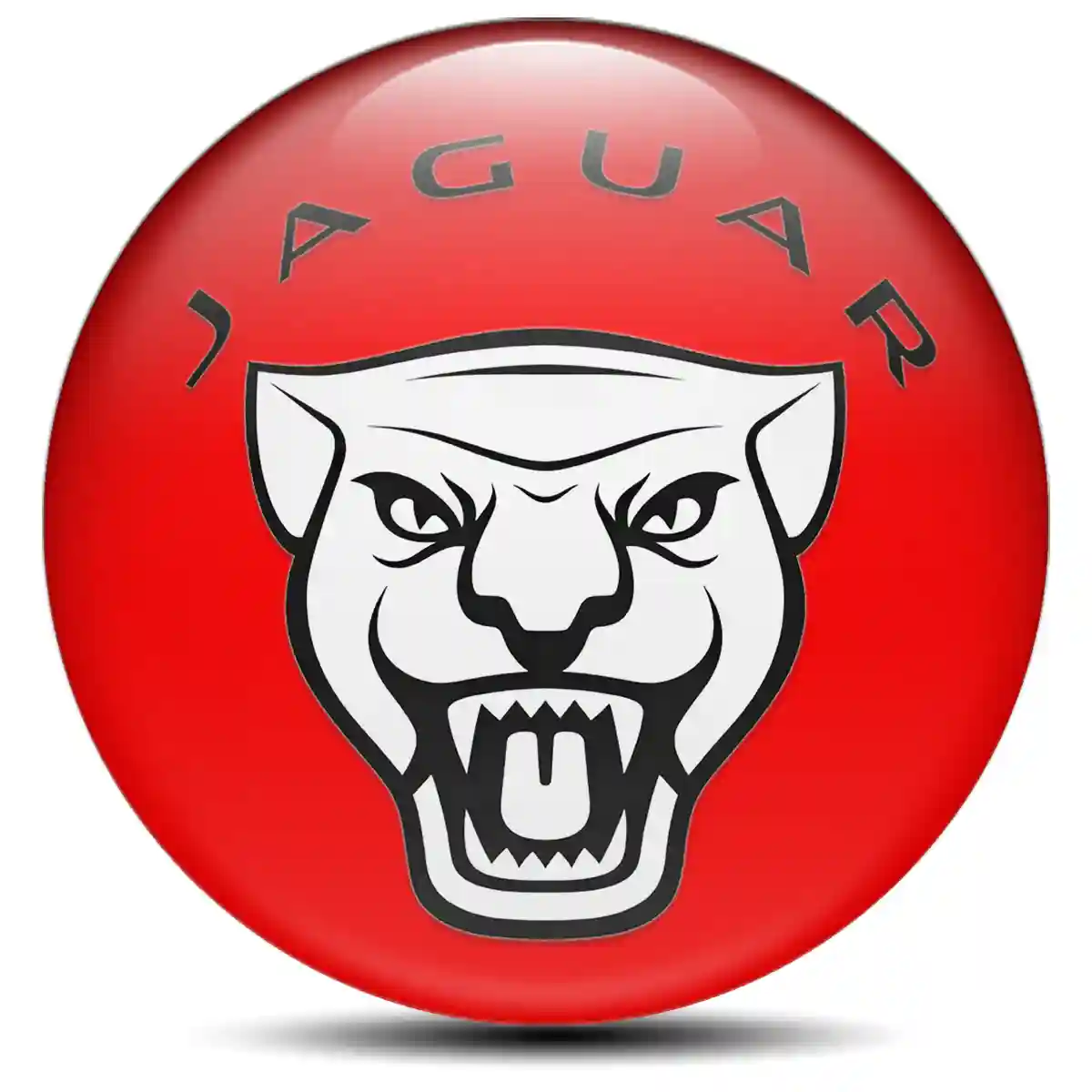 Jaguar Domed Emblem Self-Adhesive Premium Quality