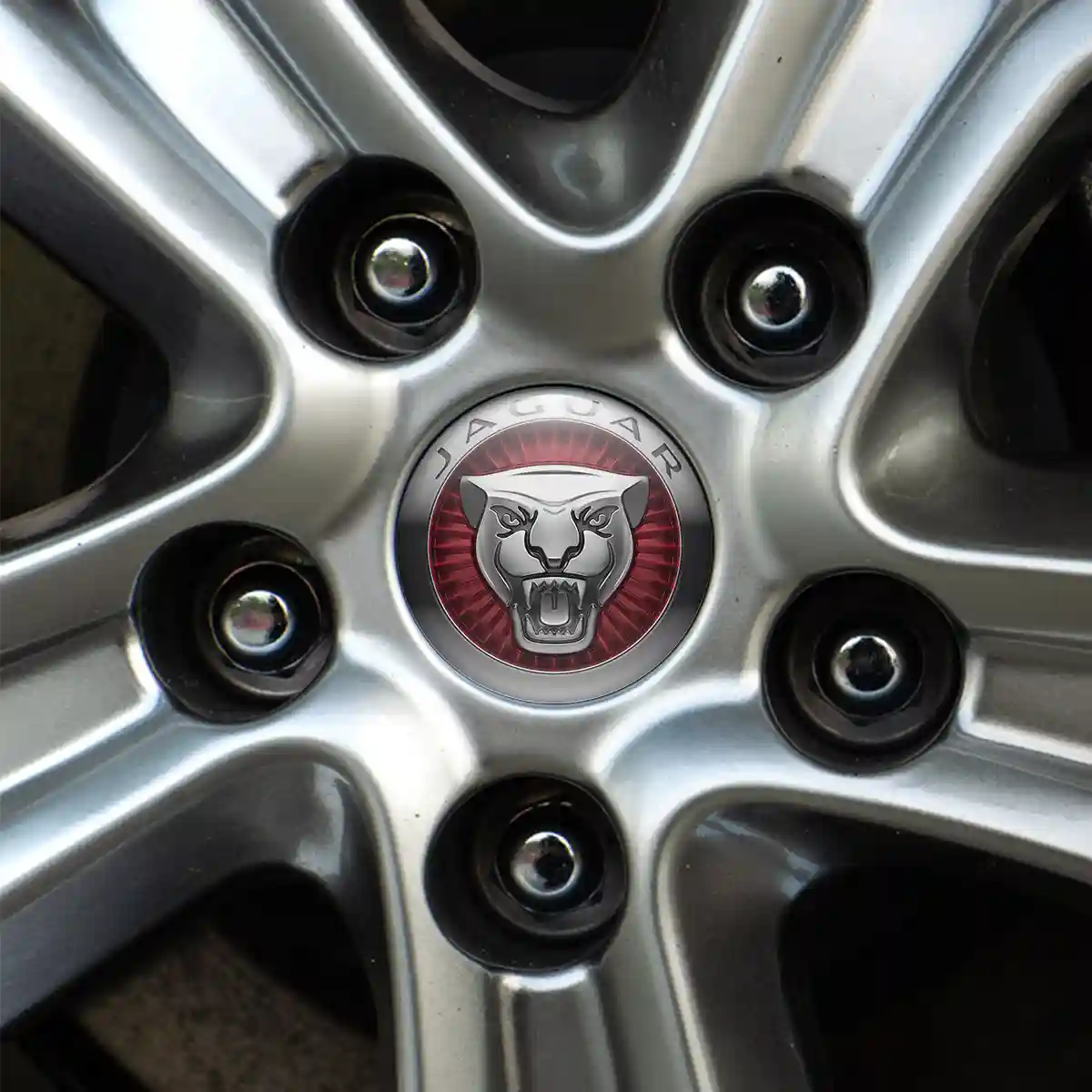 Jaguar Domed Emblem Self-Adhesive Stylish Design