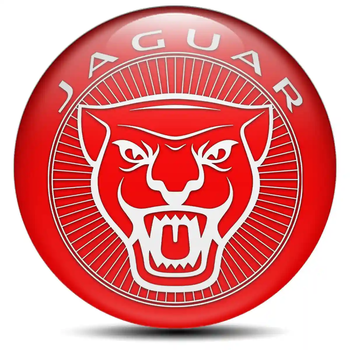 Jaguar Domed Sticker High Quality