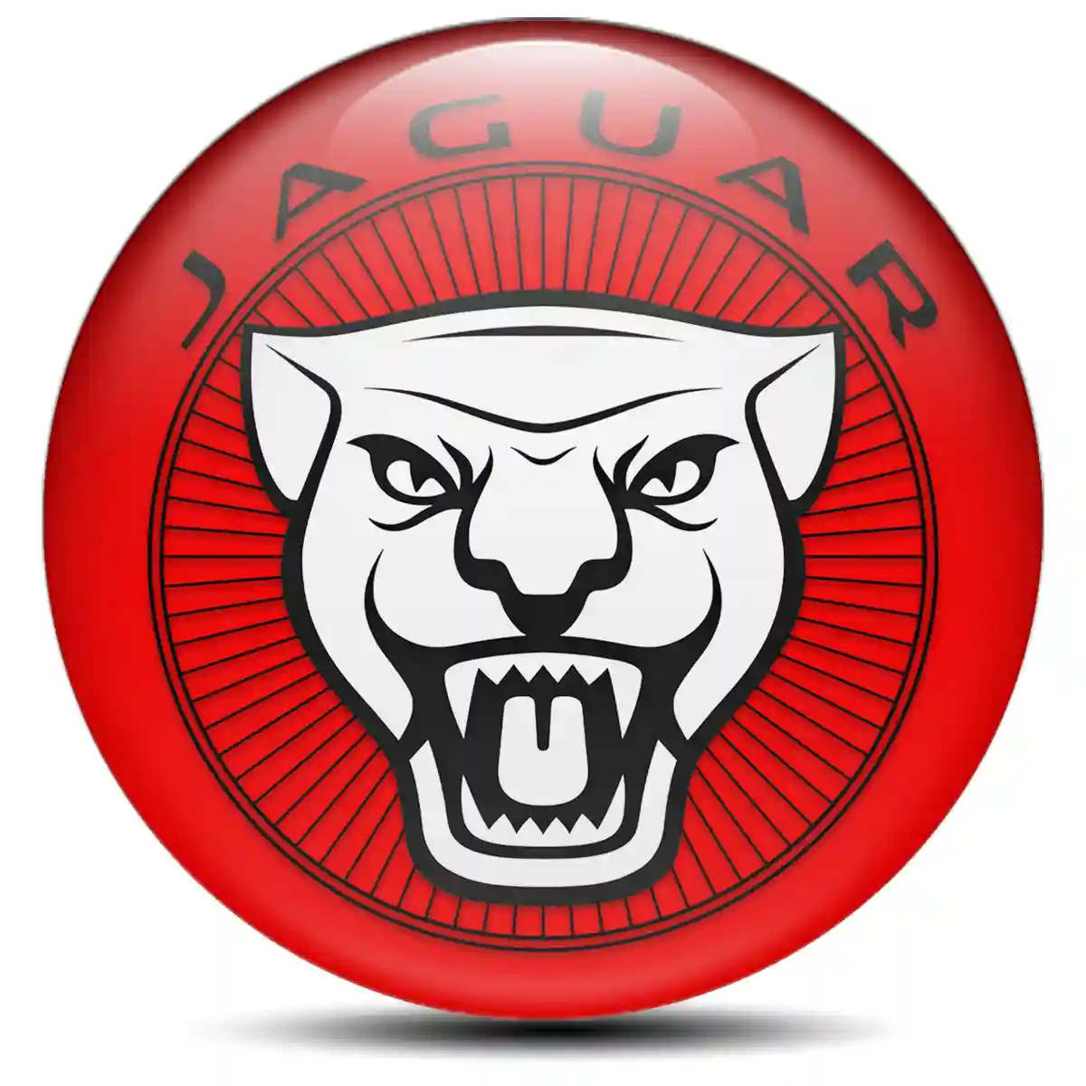 Jaguar Domed Sticker Limited Edition