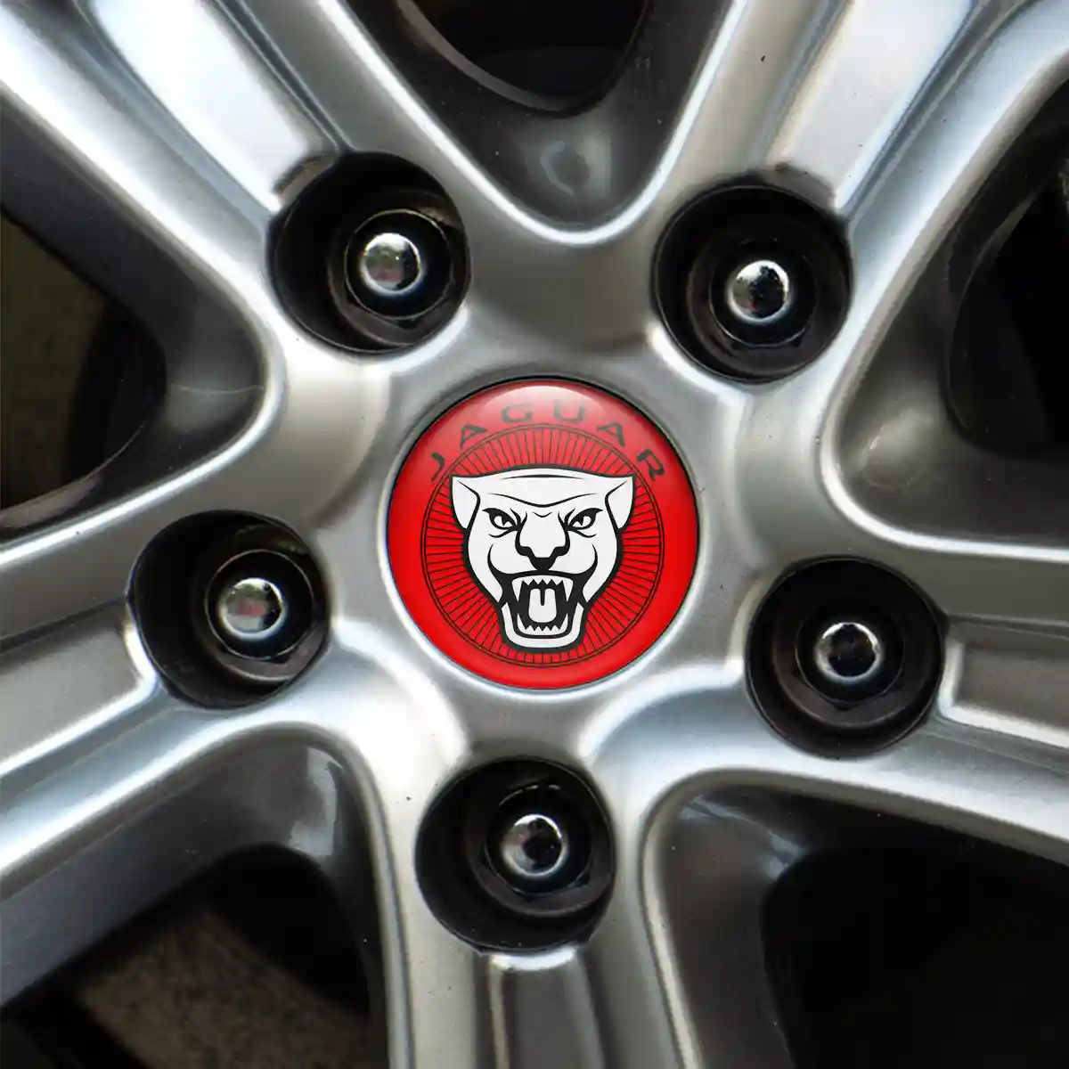 Jaguar Domed Sticker Limited Edition