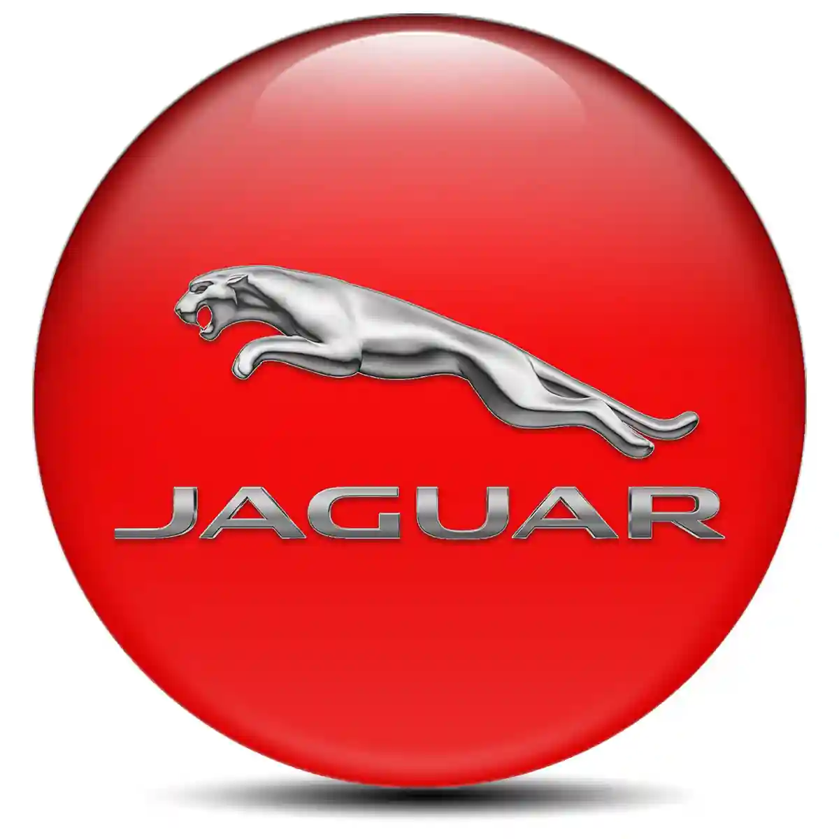 Jaguar Emblem Center Hub Cap Self-Adhesive High Quality