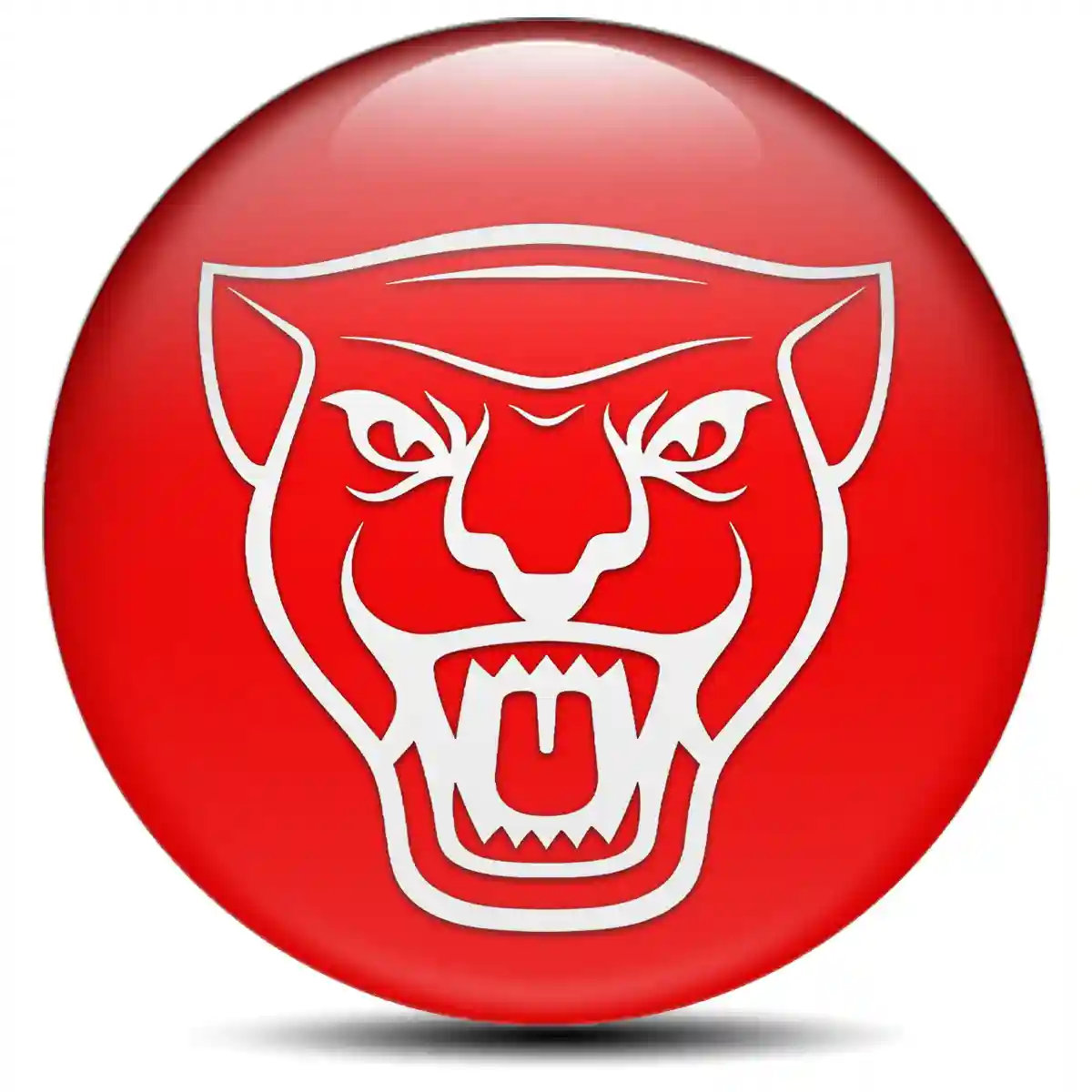 Jaguar Emblem Epoxy Self-Adhesive Stylish Design
