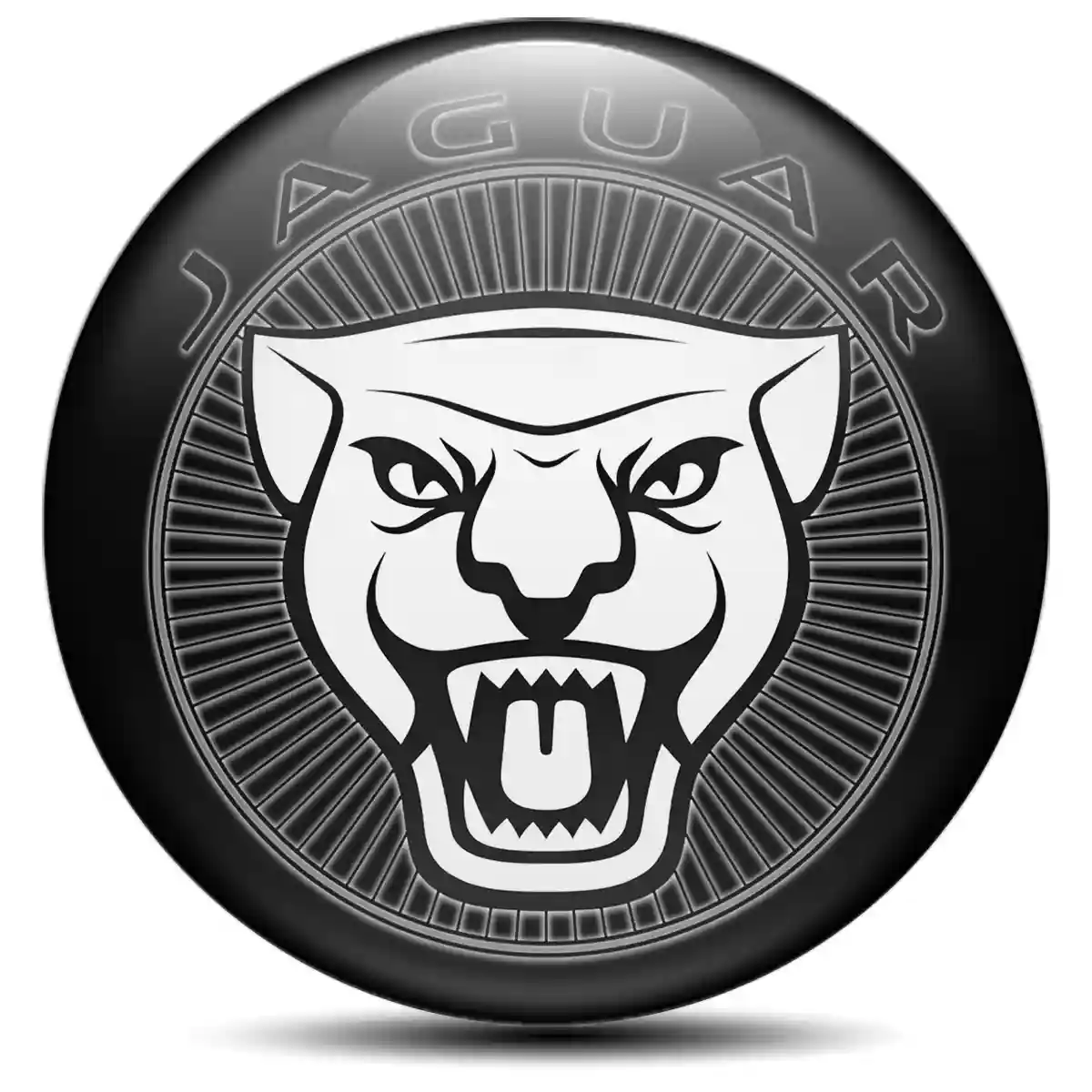 Jaguar Emblem Wheel Center Caps Stylish Design