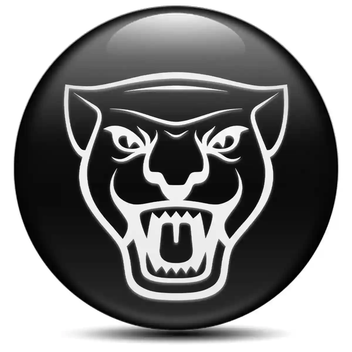 Jaguar Epoxy Sticker High Quality