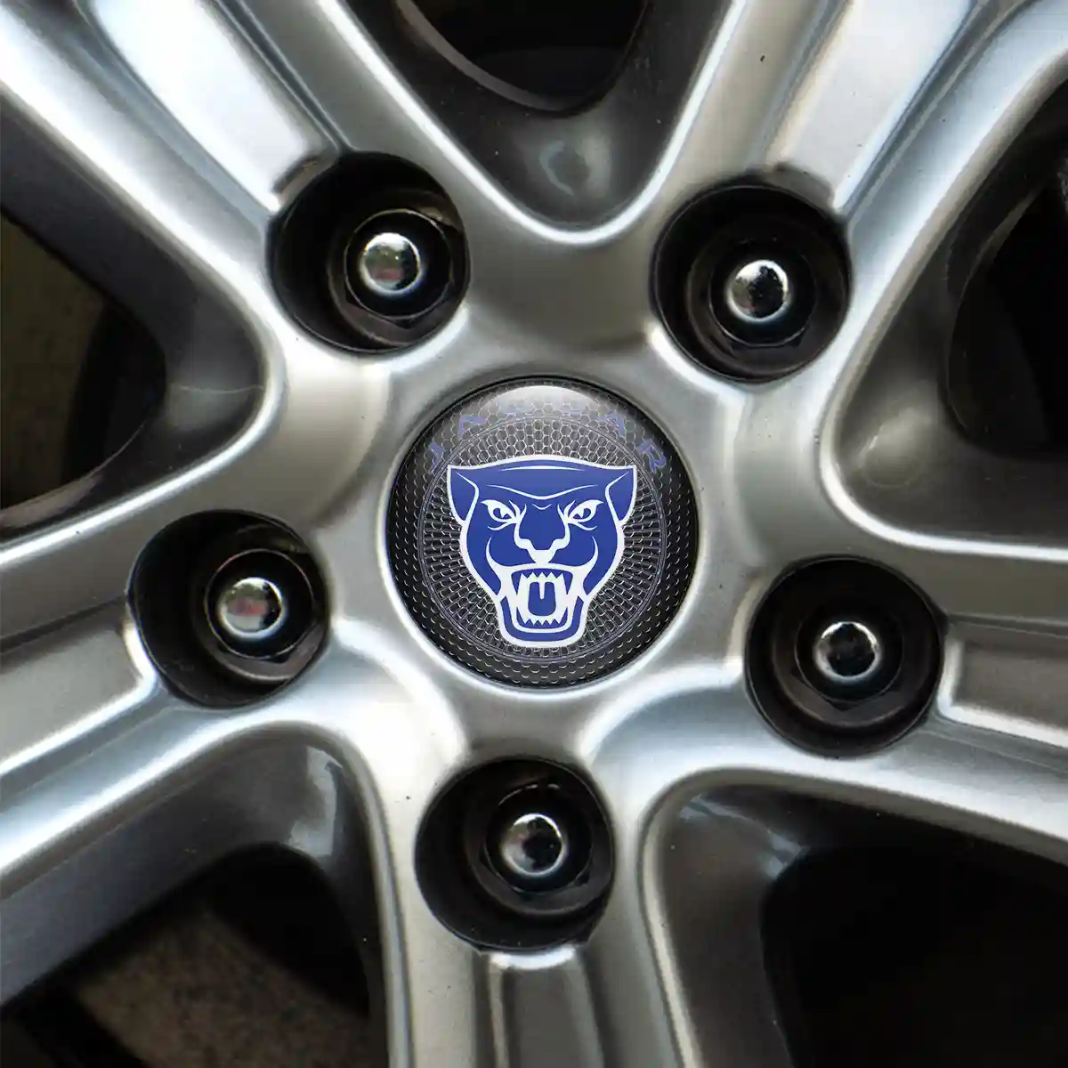 Jaguar Epoxy Sticker Premium Edition