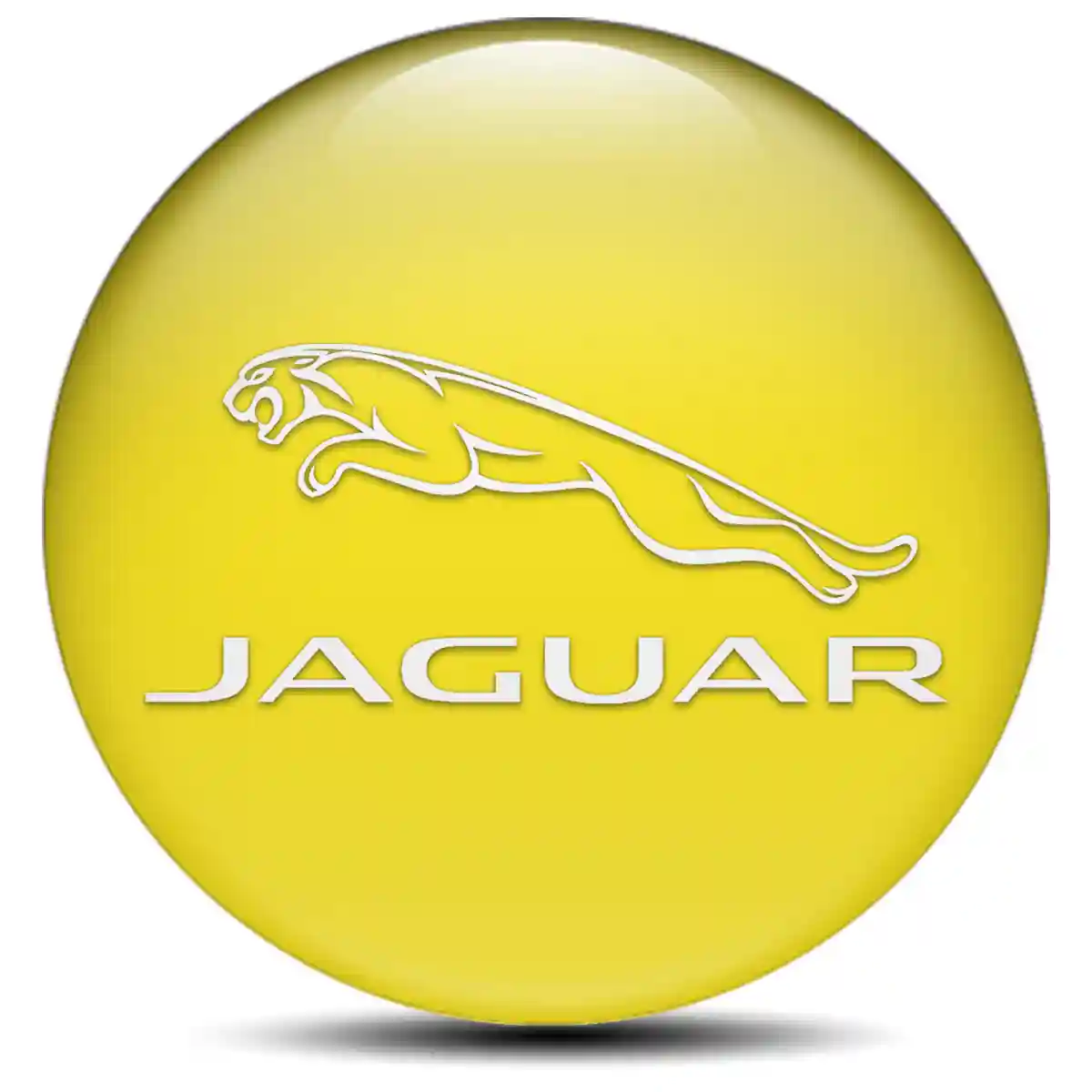 Jaguar Epoxy Sticker Premium Quality