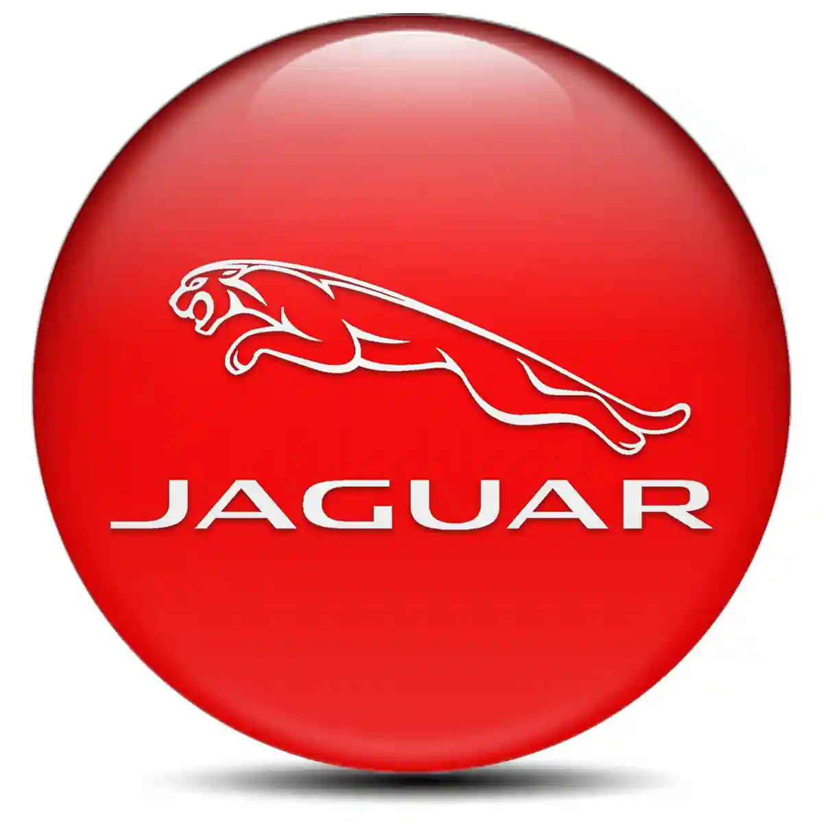 Jaguar Epoxy Sticker Stylish Design