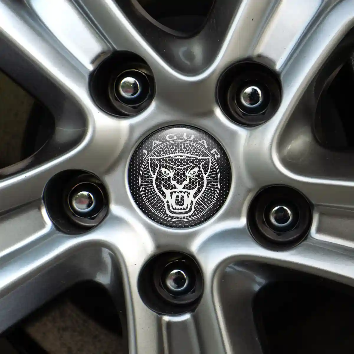 Jaguar Logo Emblem Premium Quality