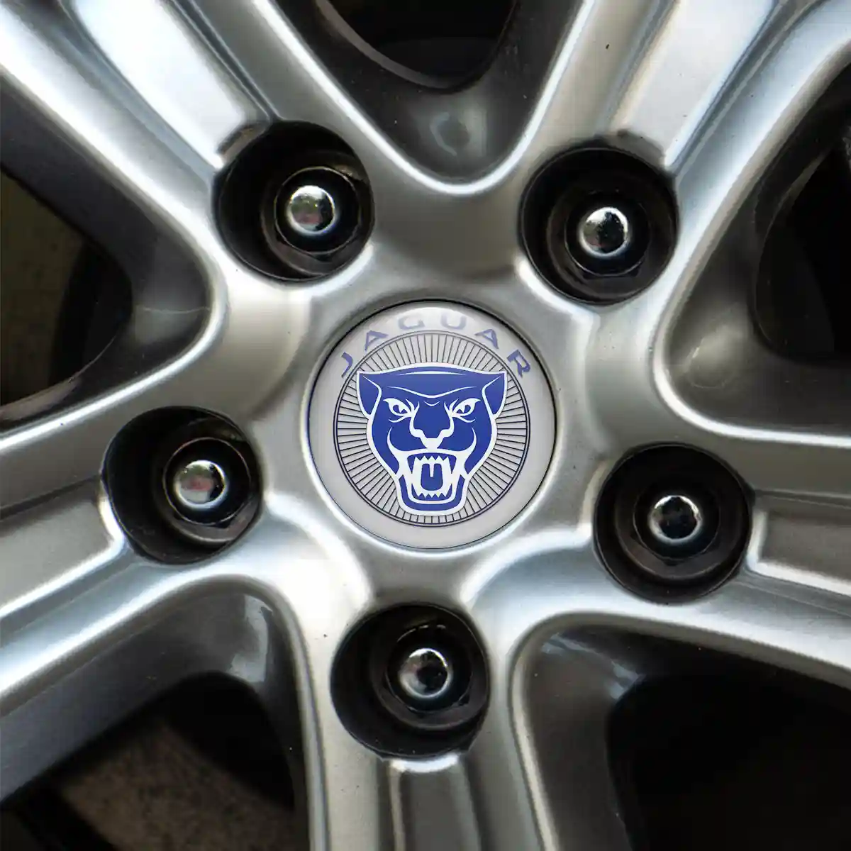 Jaguar Logo Emblem Self-Adhesive Stylish Design