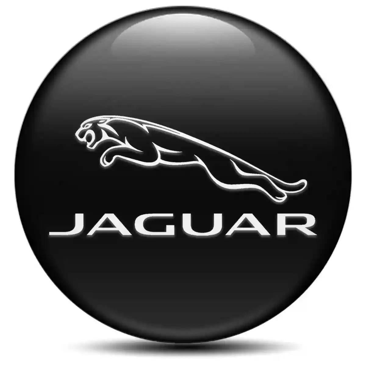 Jaguar Logo Silicone Emblem Self-Adhesive High Quality