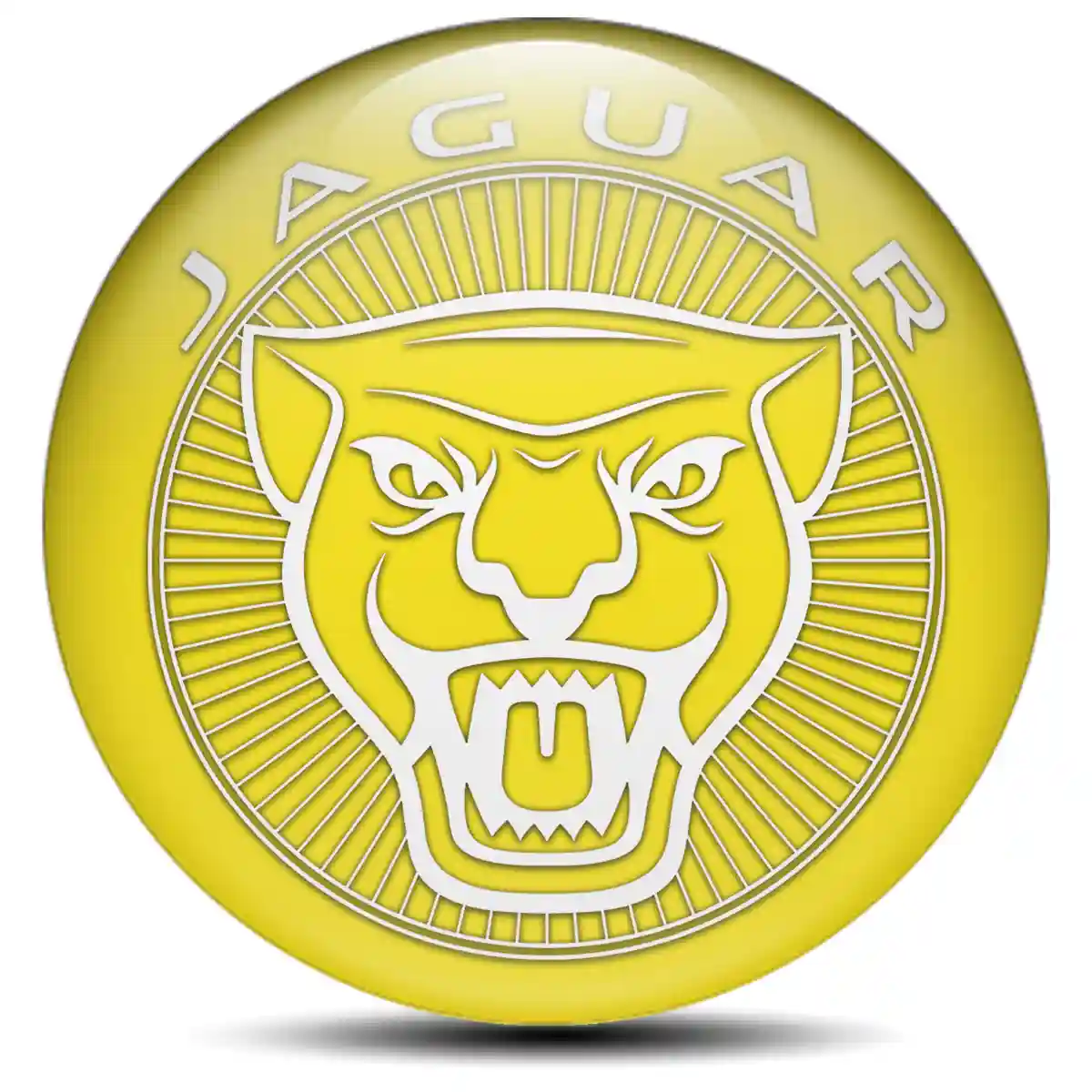 Jaguar Logo Sticker Limited Edition