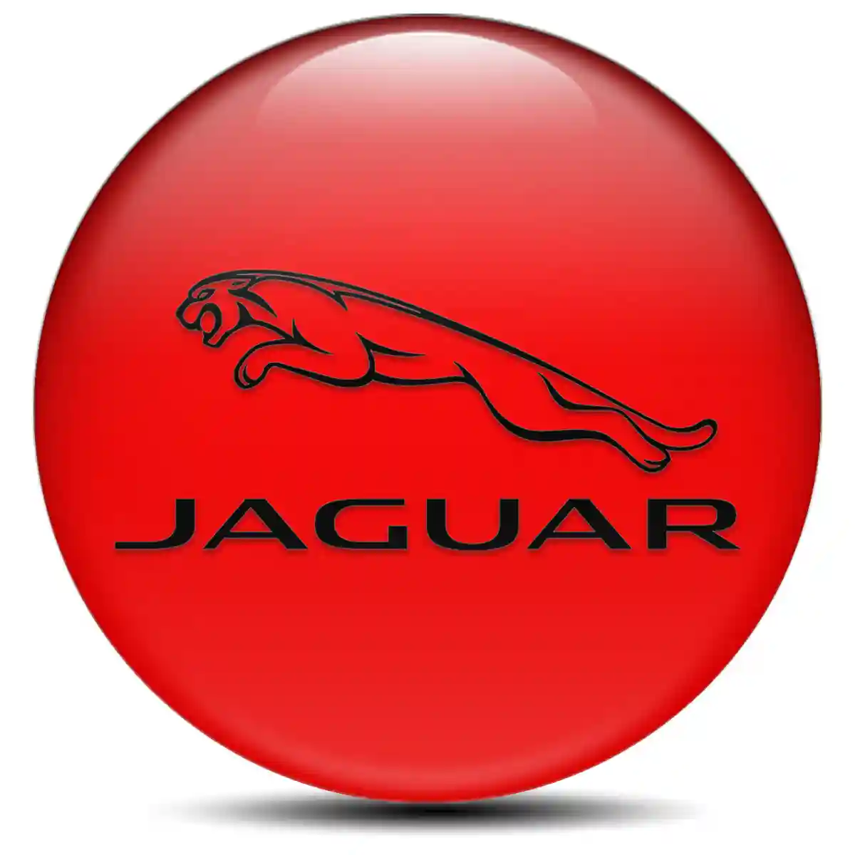 Jaguar Silicone Sticker Limited Edition