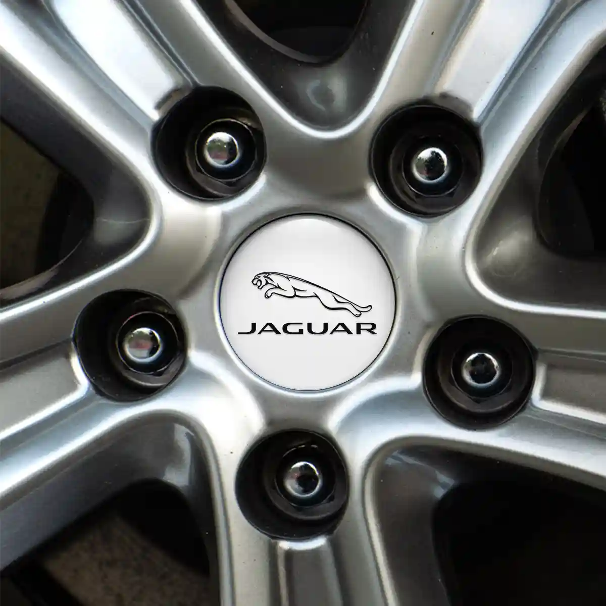 Jaguar Sticker Epoxy 3D Gel Stylish Design
