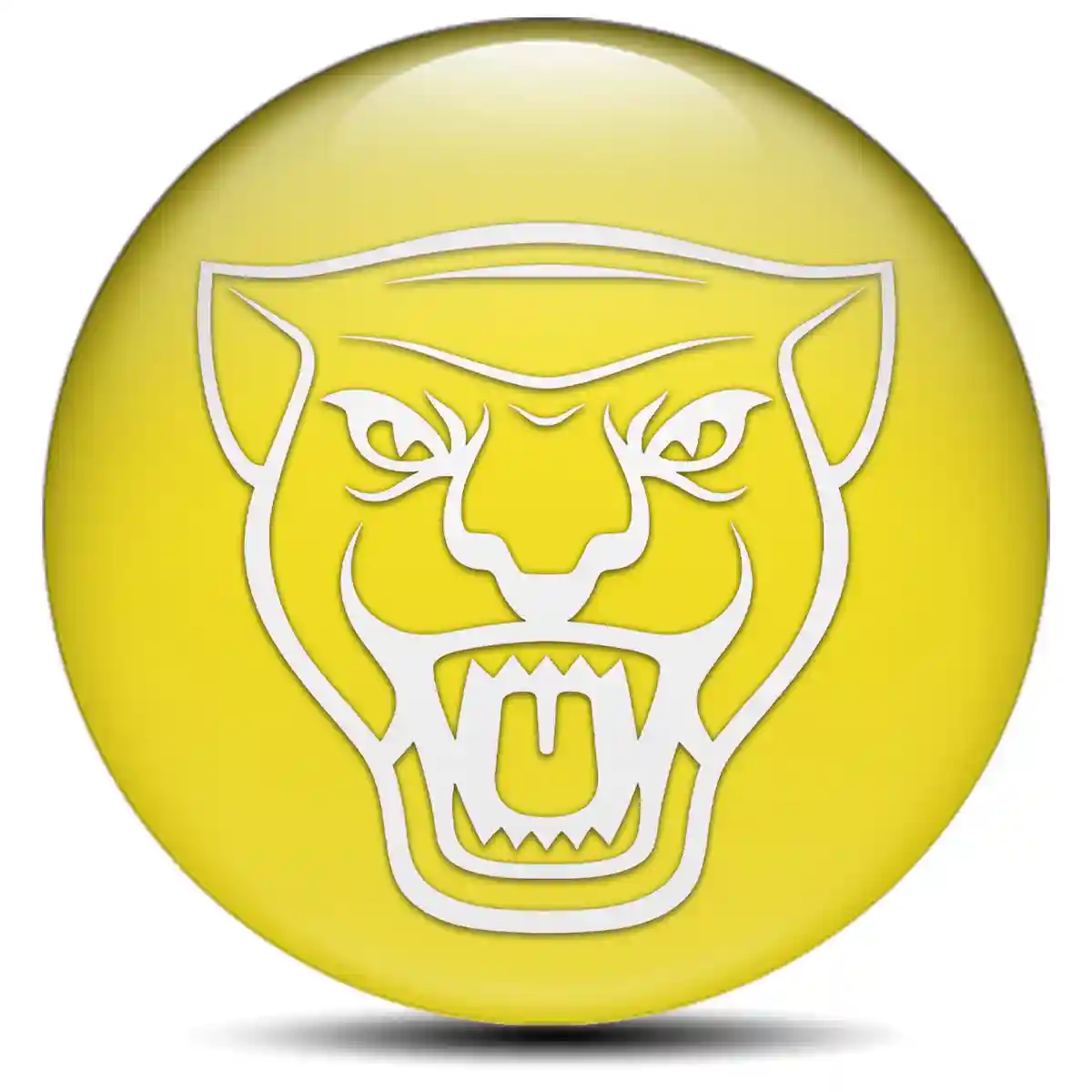 Jaguar Wheel Emblems Limited Edition