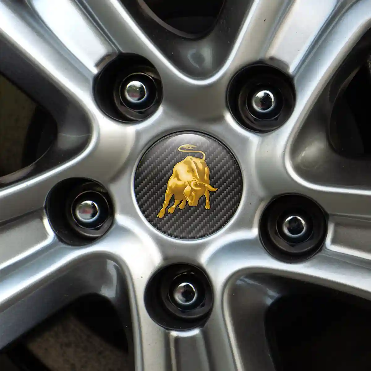 Lamborghini Logo Emblem Stylish Design