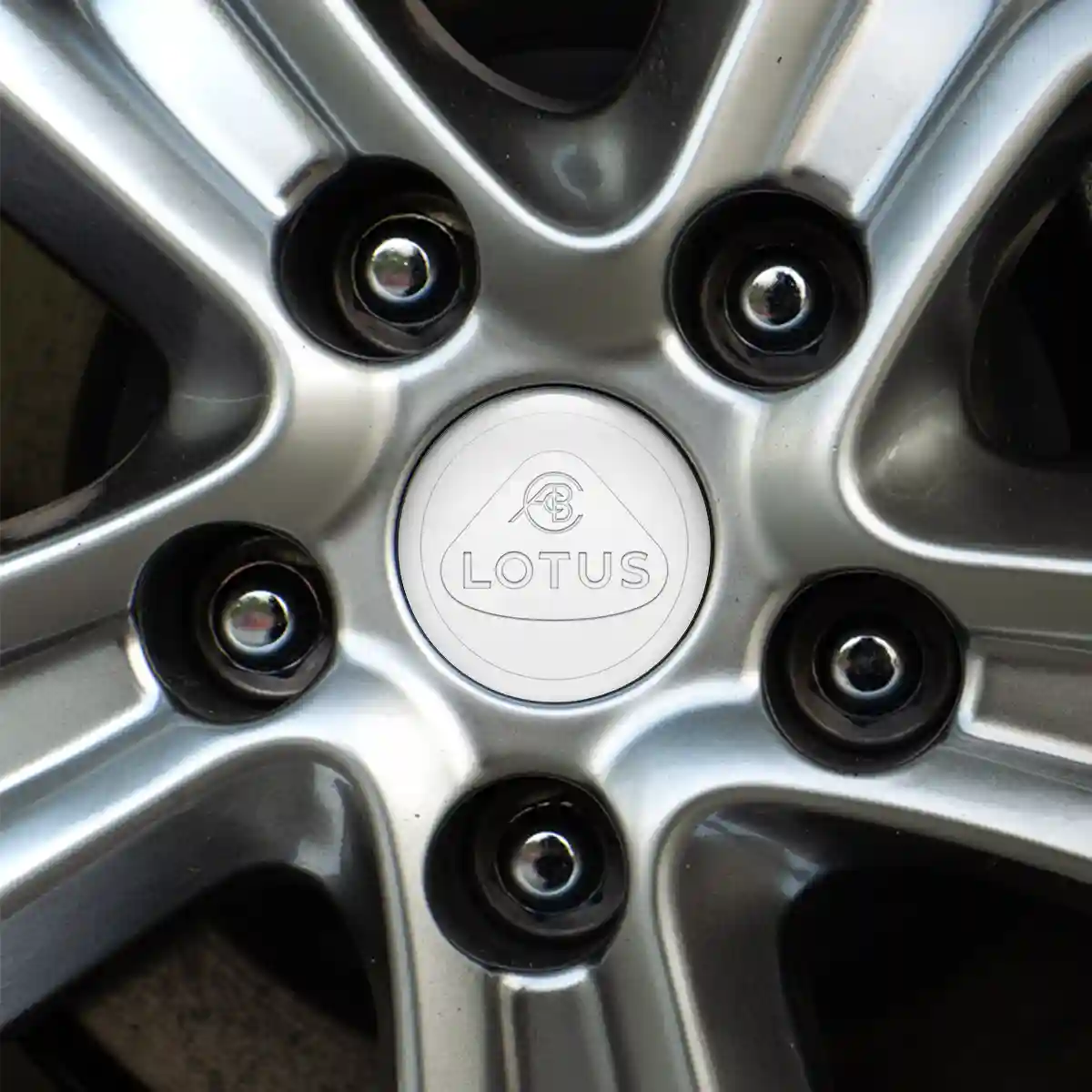 Lotus Domed Emblem Premium Edition