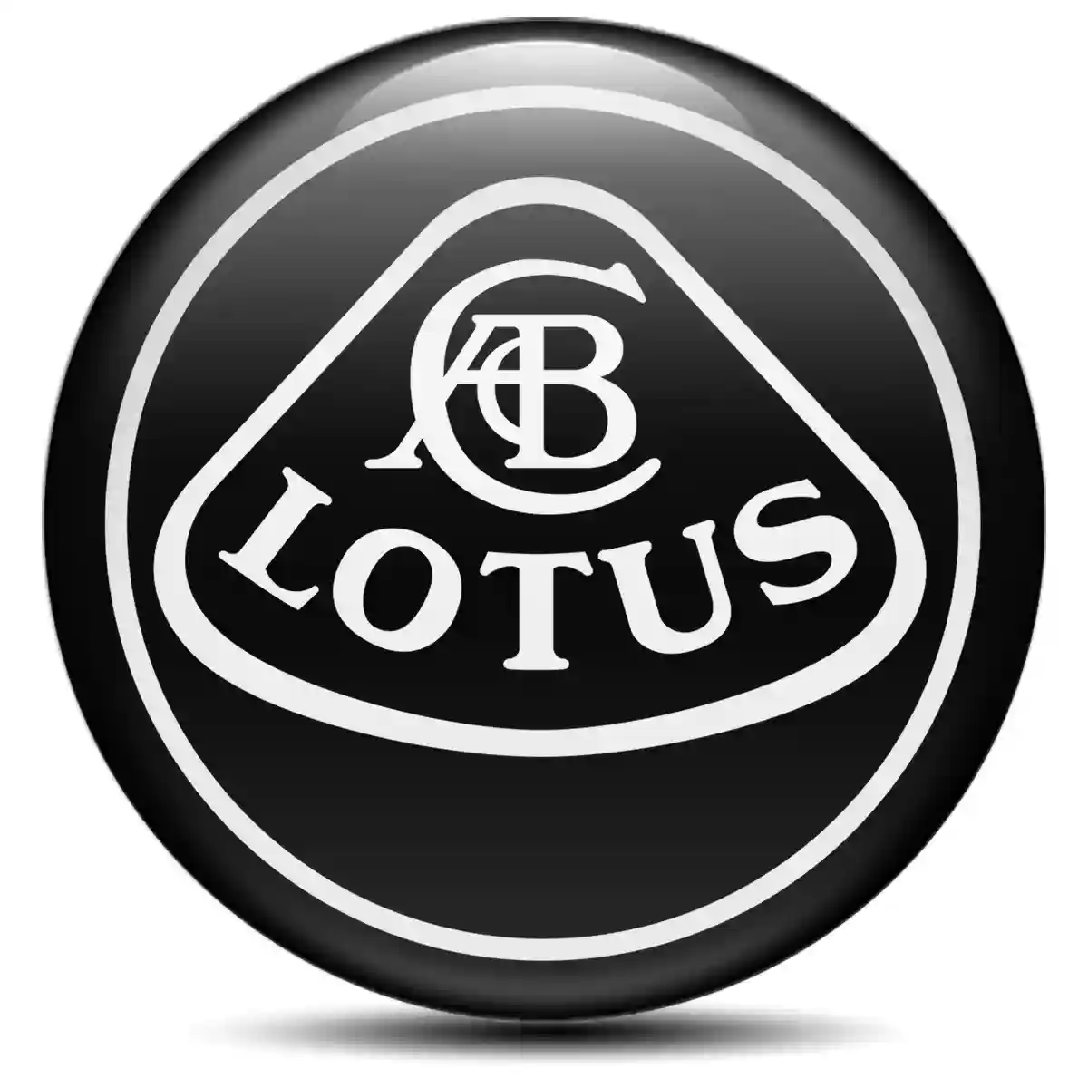 Lotus Domed Emblem Self-Adhesive Stylish Design