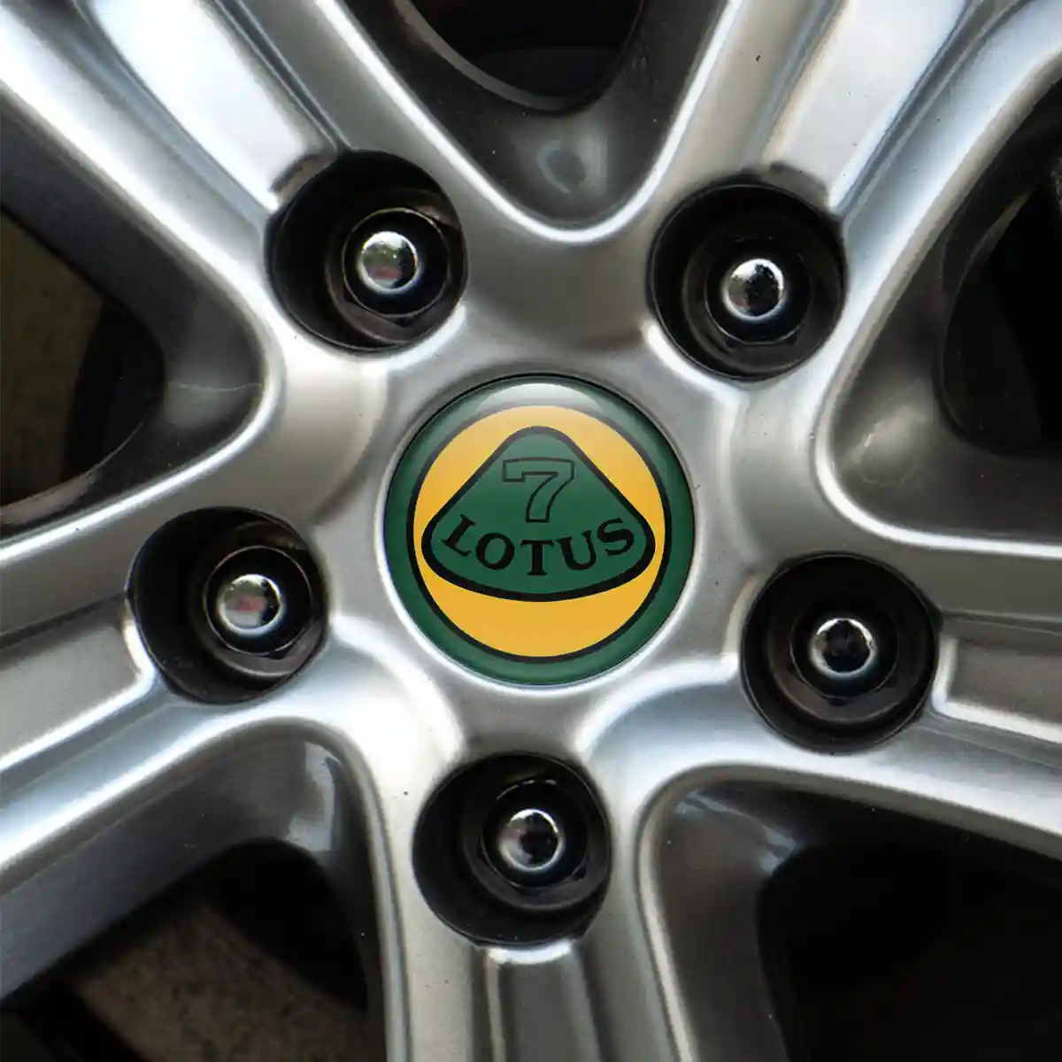 Lotus Domed Emblem Stylish Design