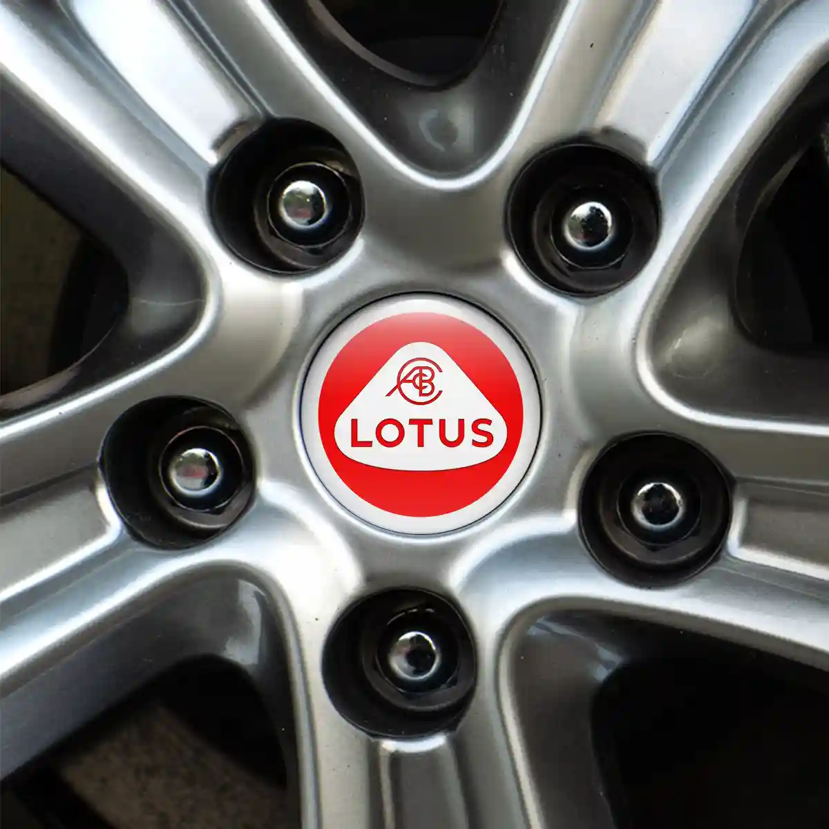 Lotus Logo Emblem Stylish Design