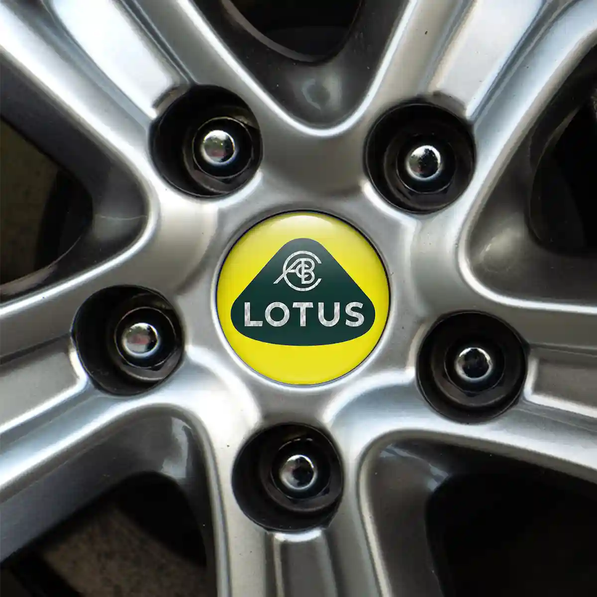 Lotus Logo Silicone Badge Self-Adhesive High Quality