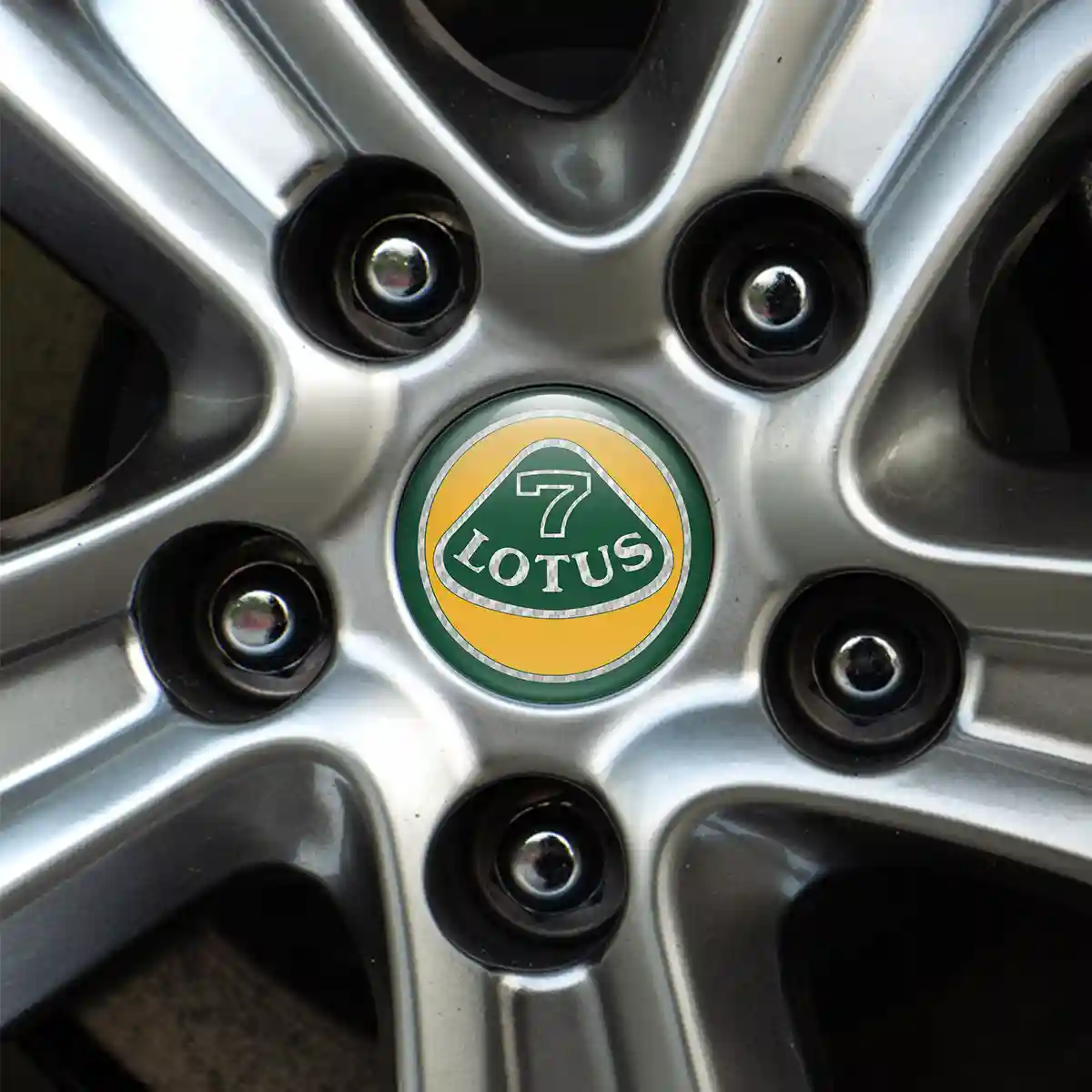 Lotus Logo Silicone Emblem High Quality