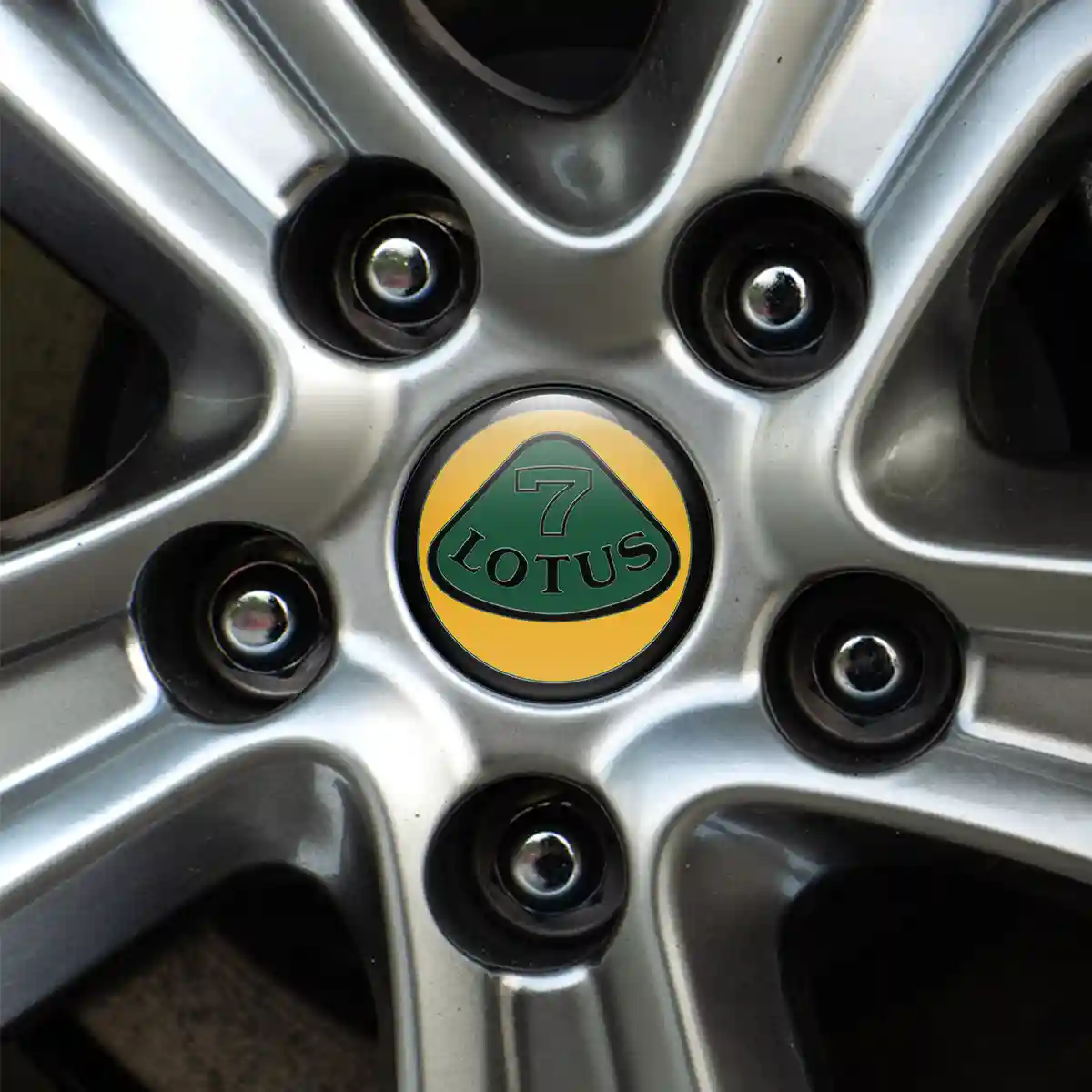 Lotus Logo Silicone Emblem Stylish Design