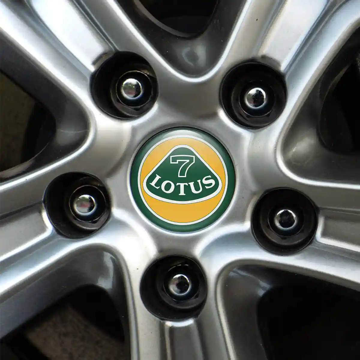 Lotus Logo Silicone Sticker Stylish Design