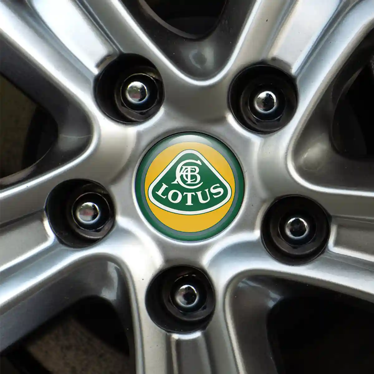 Lotus Logo Sticker Stylish Design
