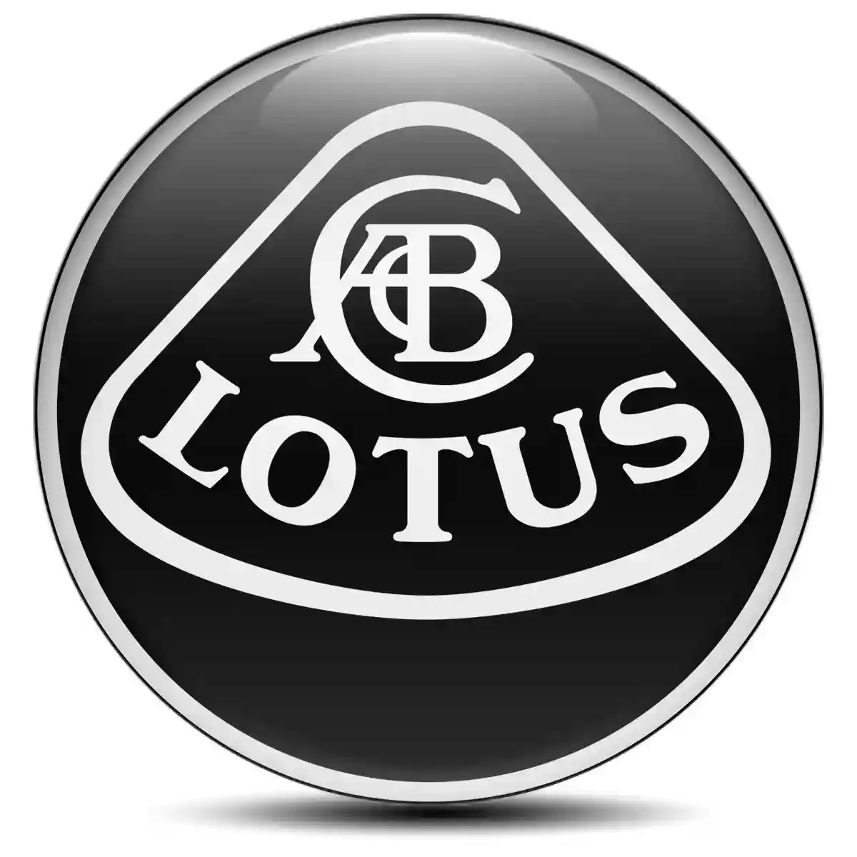 Lotus Sticker Epoxy 3D Gel High Quality