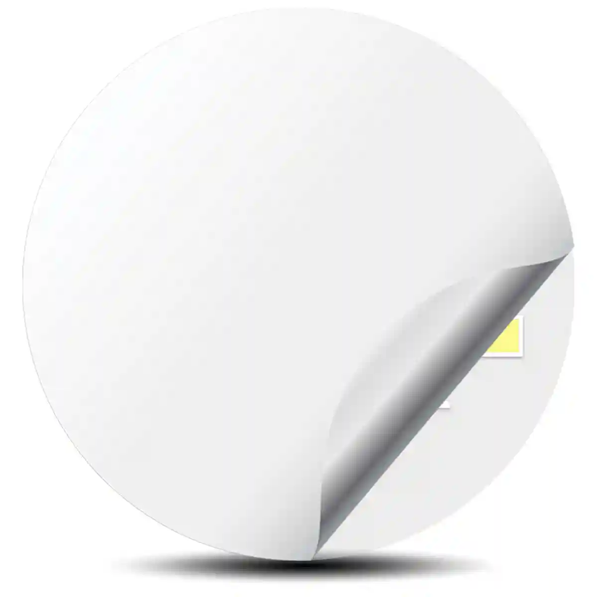 MOMO Logo Emblem Sleek Style