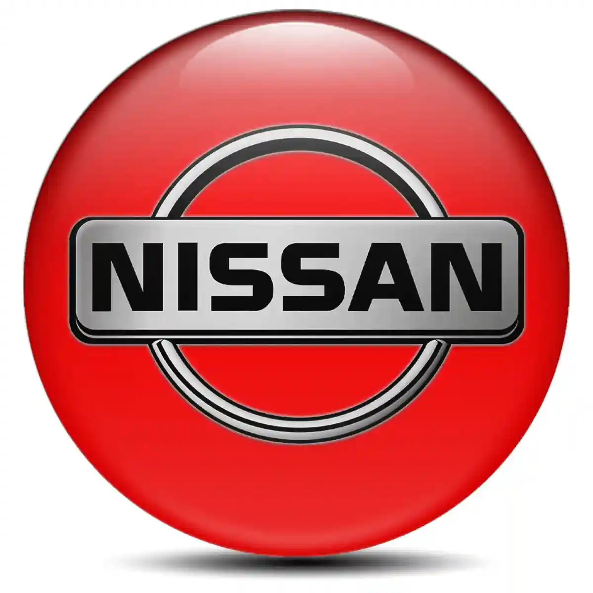 Nissan Domed Emblem Sleek Style